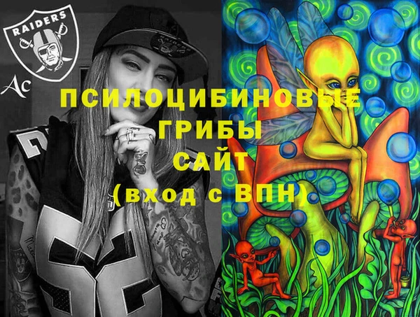амф Аркадак